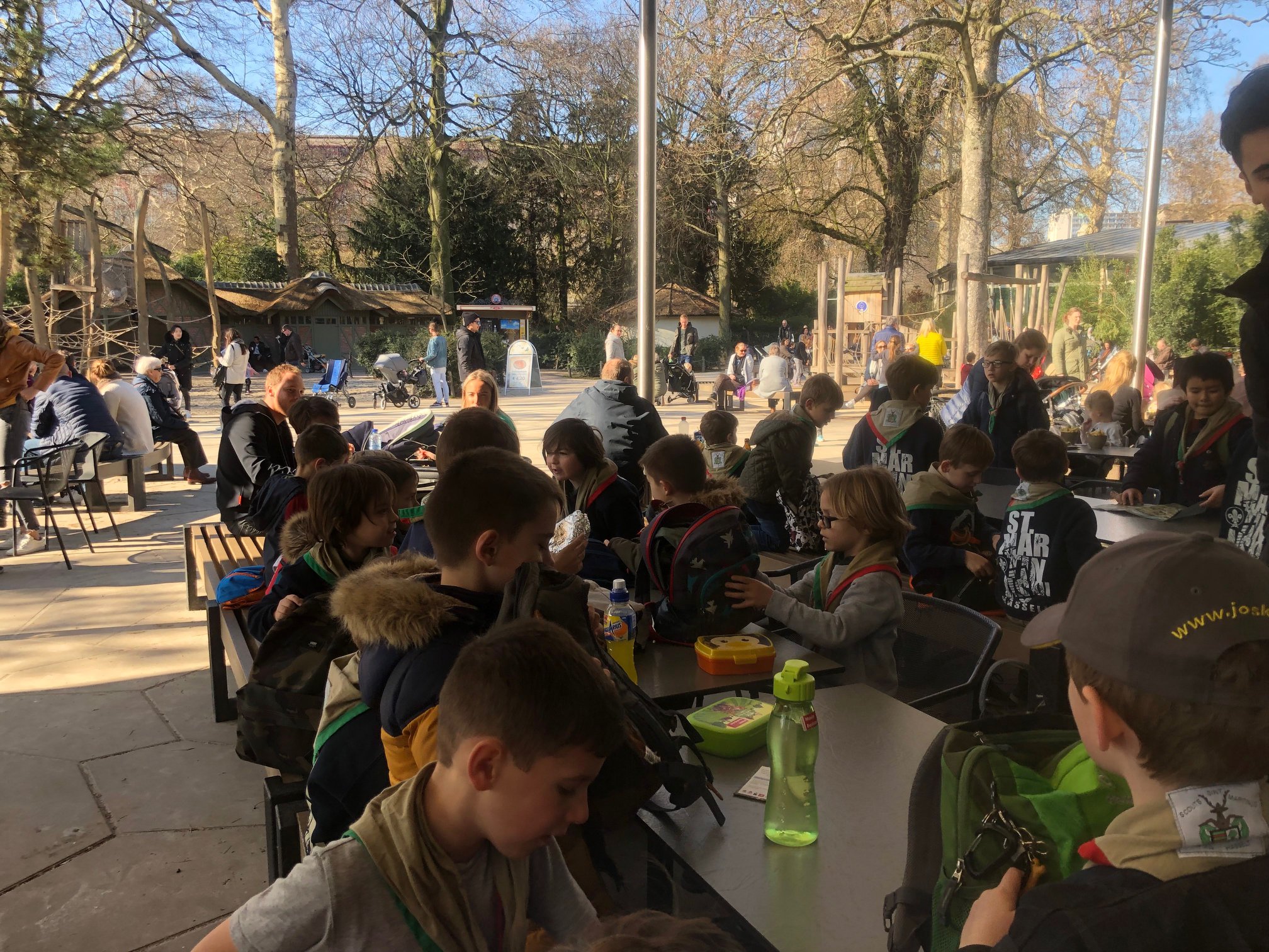 Sint-Martinus den XIIde - Zoo Antwerpen Kapoenen